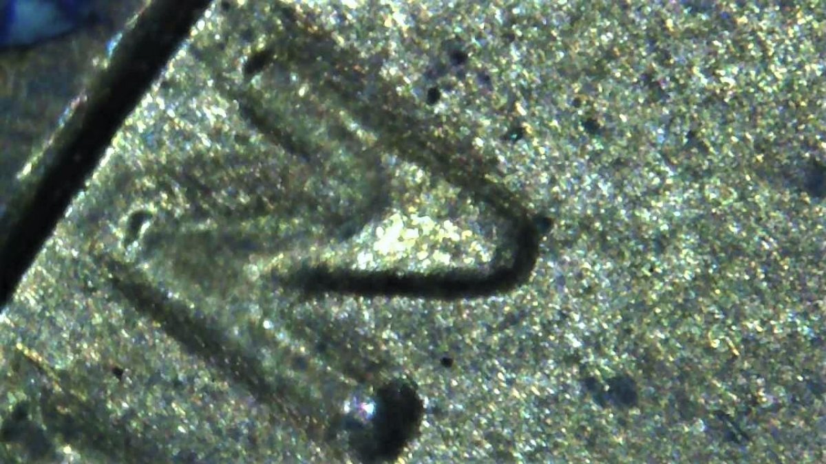 1982-Penny....ddo-Or-More-MD